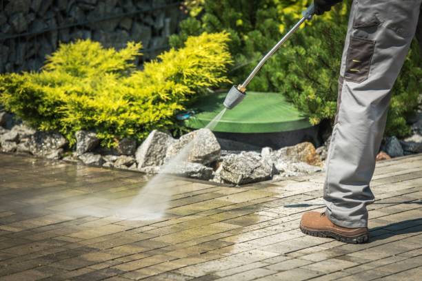 Best Roof Washing  in Eming Island, FL