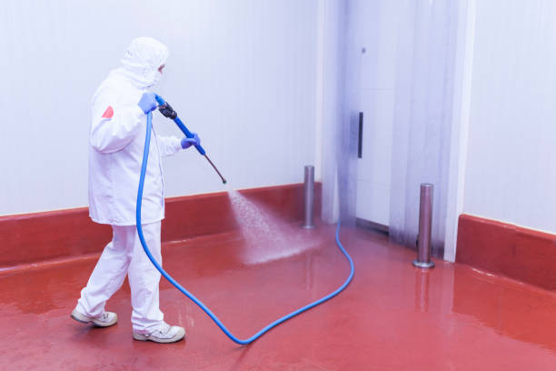 Best Post-Construction Pressure Washing  in Eming Island, FL