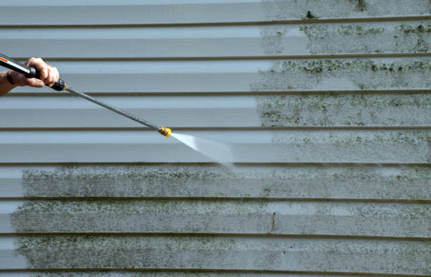 Best Building Exterior Washing  in Eming Island, FL